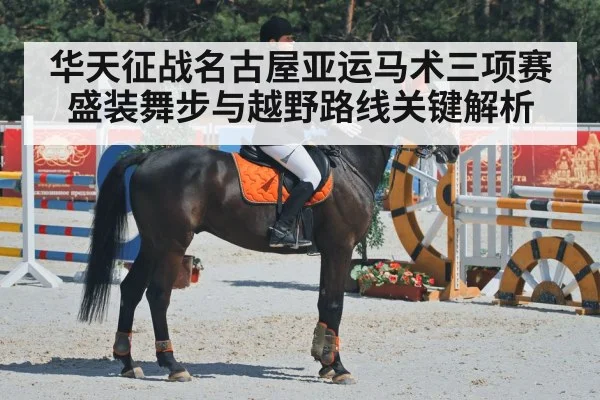 equestrian dressage horse