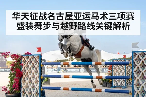 equestrian eventing horse rider