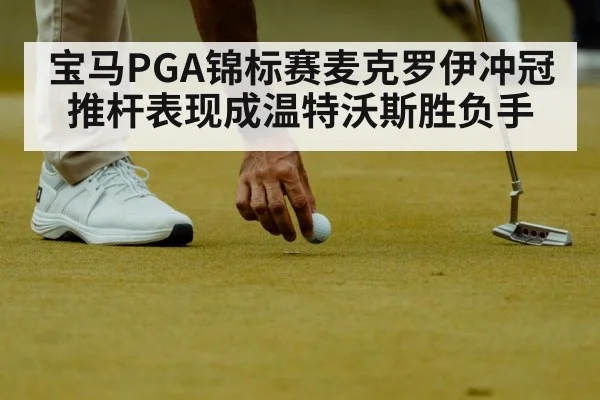 宝马PGA锦标赛麦克罗伊冲冠推杆表现成温特沃斯胜负手